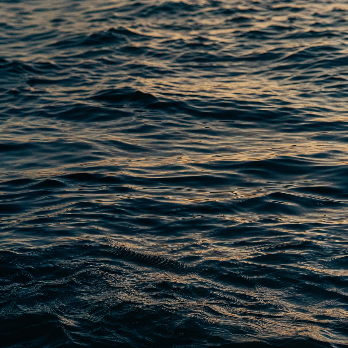 Sunlight rippling across the dark blue surface of Lake Michigan