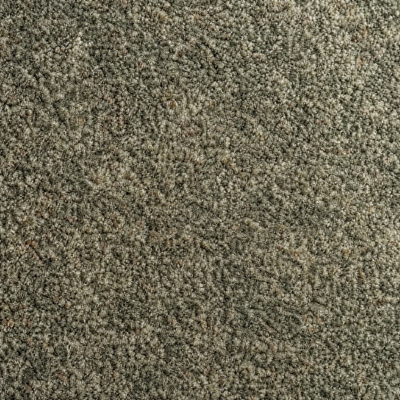 Straight-down view of plush wool carpet in a warm neutral tone